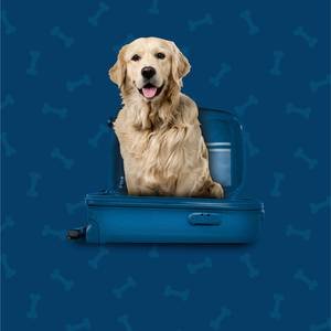 Pet Friendly Hotel ILUNION Hacienda de Mijas Mijas