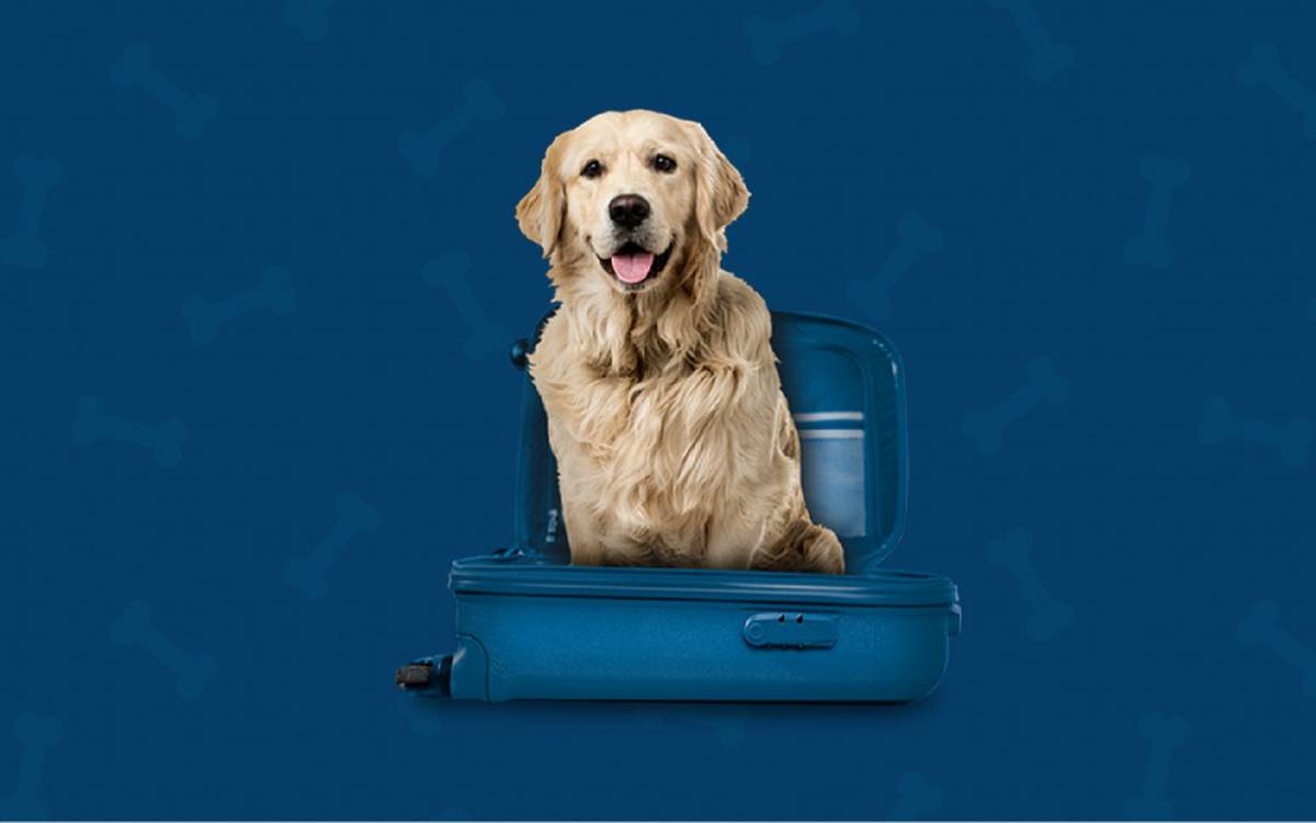 Somos pet friendly Hotel ILUNION Hacienda de Mijas Somos pet friendly Hotel ILUNION Hacienda de Mijas